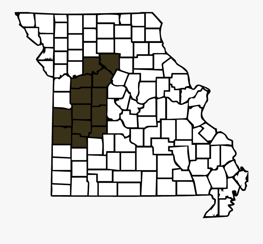 Whether You Are A Job Seeker Looking For Employment - Missouri County Map Fillable, Transparent Clipart
