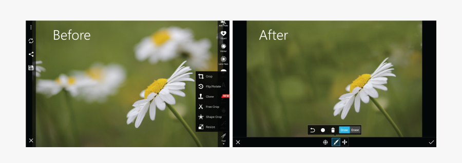 F X Chu, Transparent Clipart
