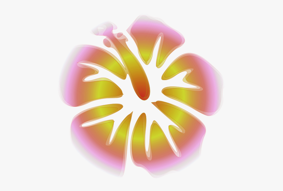 Decor-23 - Common Hibiscus, Transparent Clipart