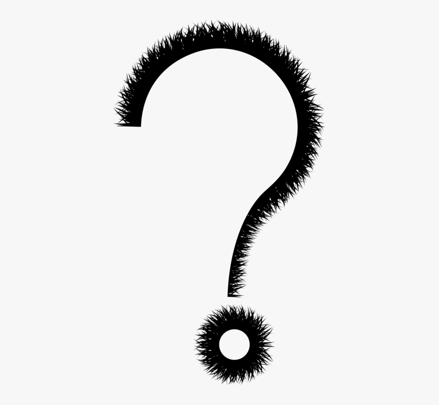 Costume Accessory,fur,organ, Transparent Clipart