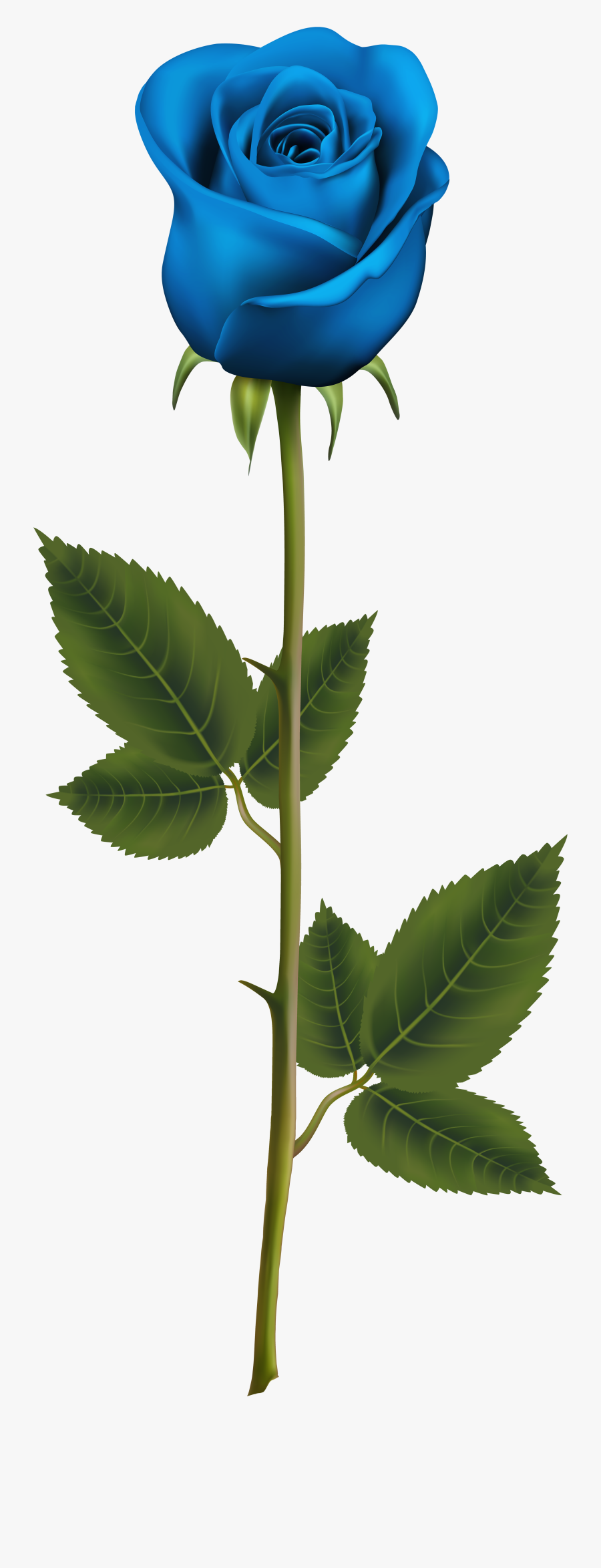 Blue Rose With Stem Png Transparent Clip Art Image - Png Gulab Ka Phool, Transparent Clipart