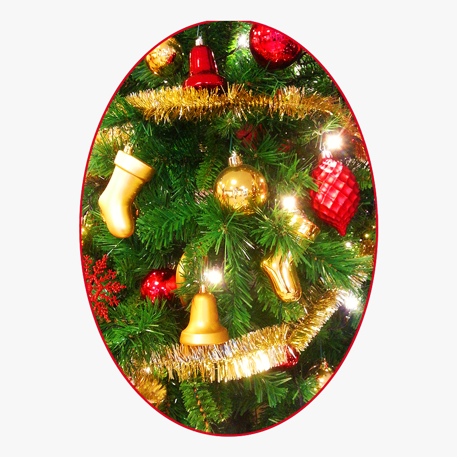 Christmas Pictures Decoration - Christmas Ornament, Transparent Clipart