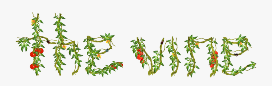 Thevine V2-8, Transparent Clipart