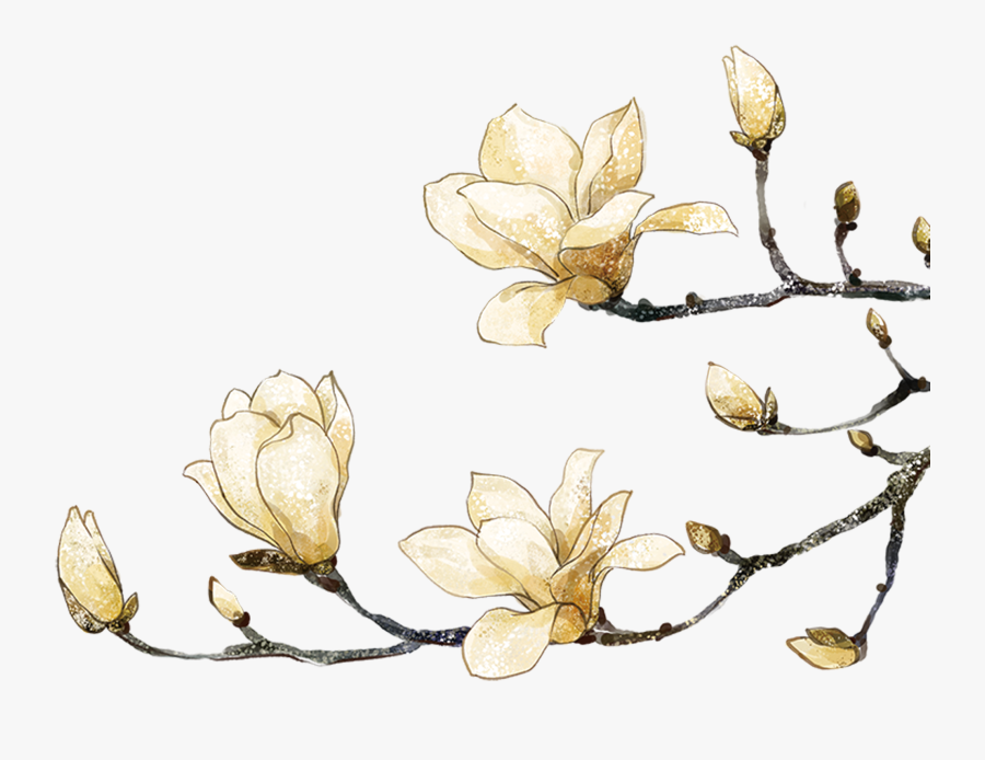 Magnolia Clipart Southern - Watercolor Flowers Png Transparent, Transparent Clipart