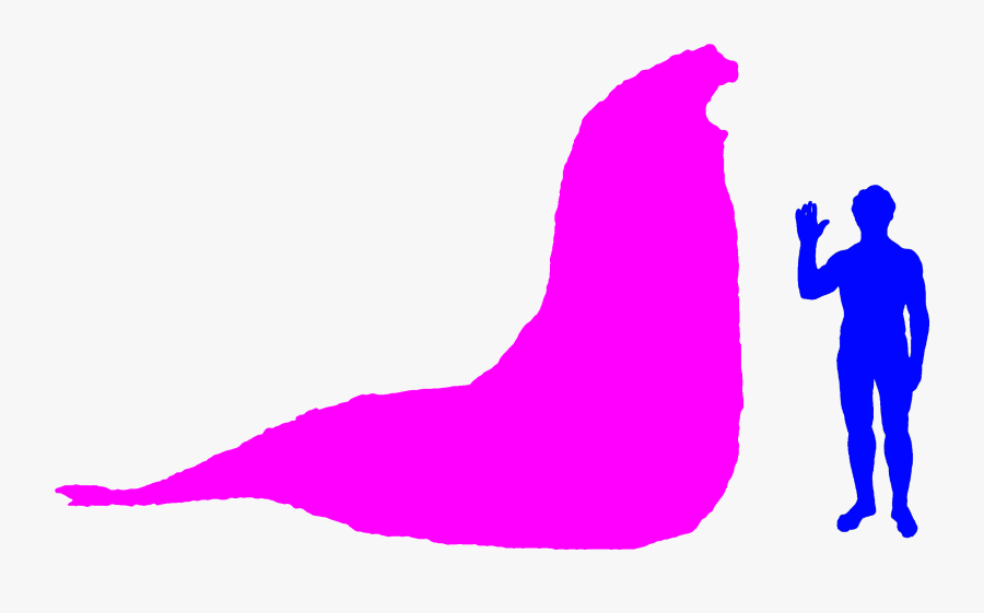 An Elephant Seal And - Elefantes Marinos Del Sur, Transparent Clipart