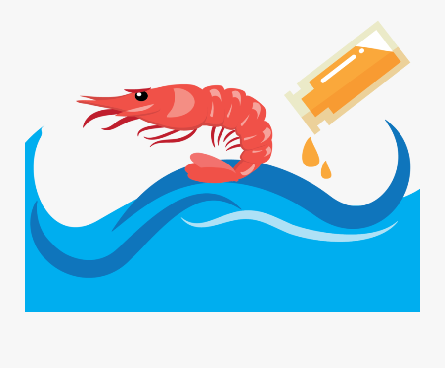 Antarctic Krill Cartoon Clipart Southern Ocean Antarctic - Cartoon Antarctic Krill, Transparent Clipart