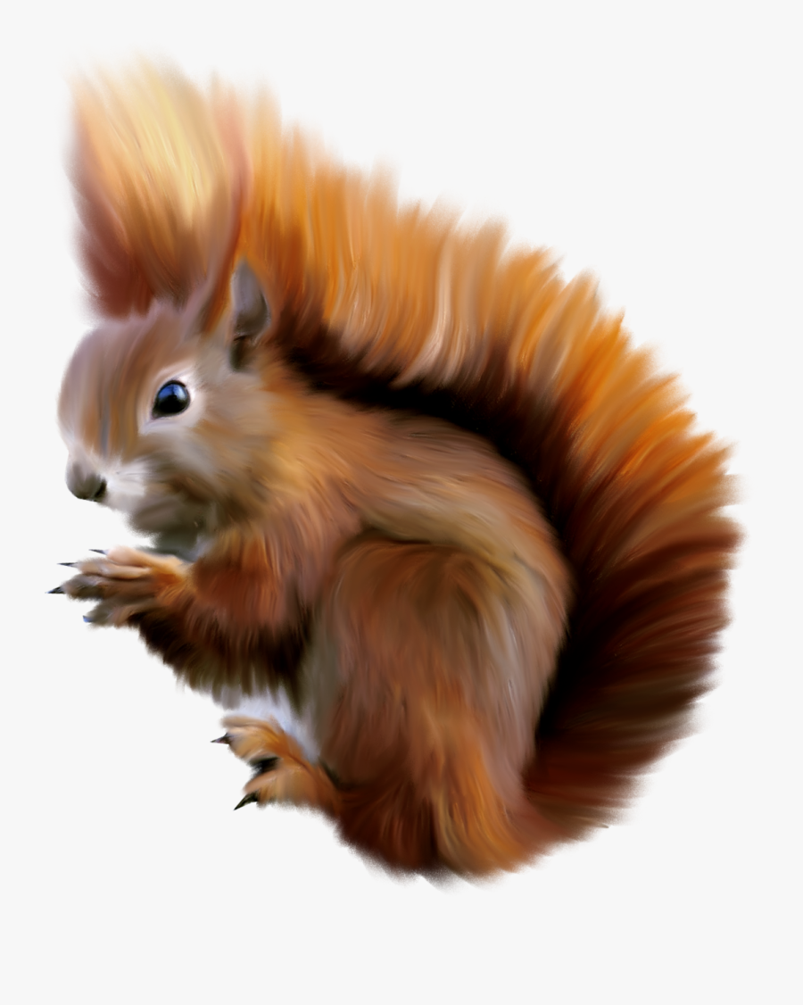 Hallo Liebe Freunde, Transparent Clipart