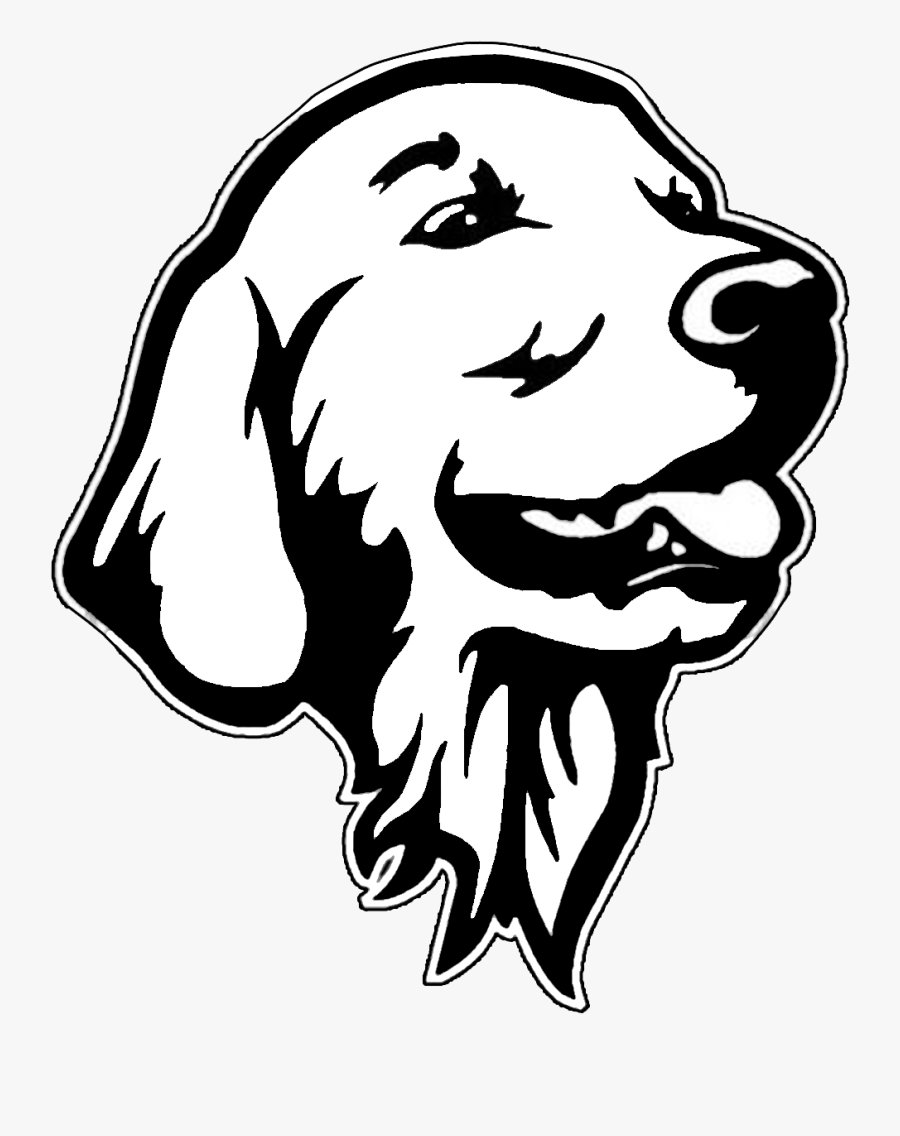 Golden Retriever Black And White Drawing , Free