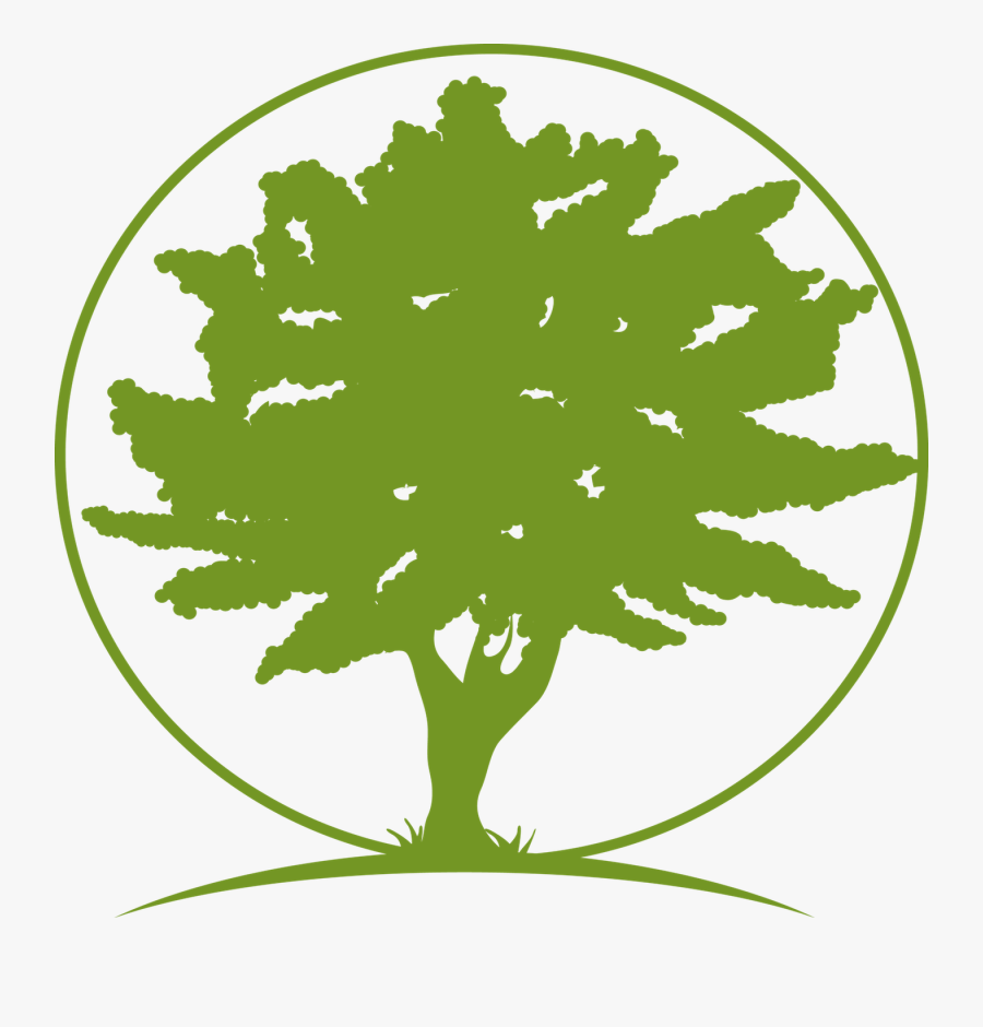 โรงเรียน เทศบาล บ้าน สาม กอง, Transparent Clipart