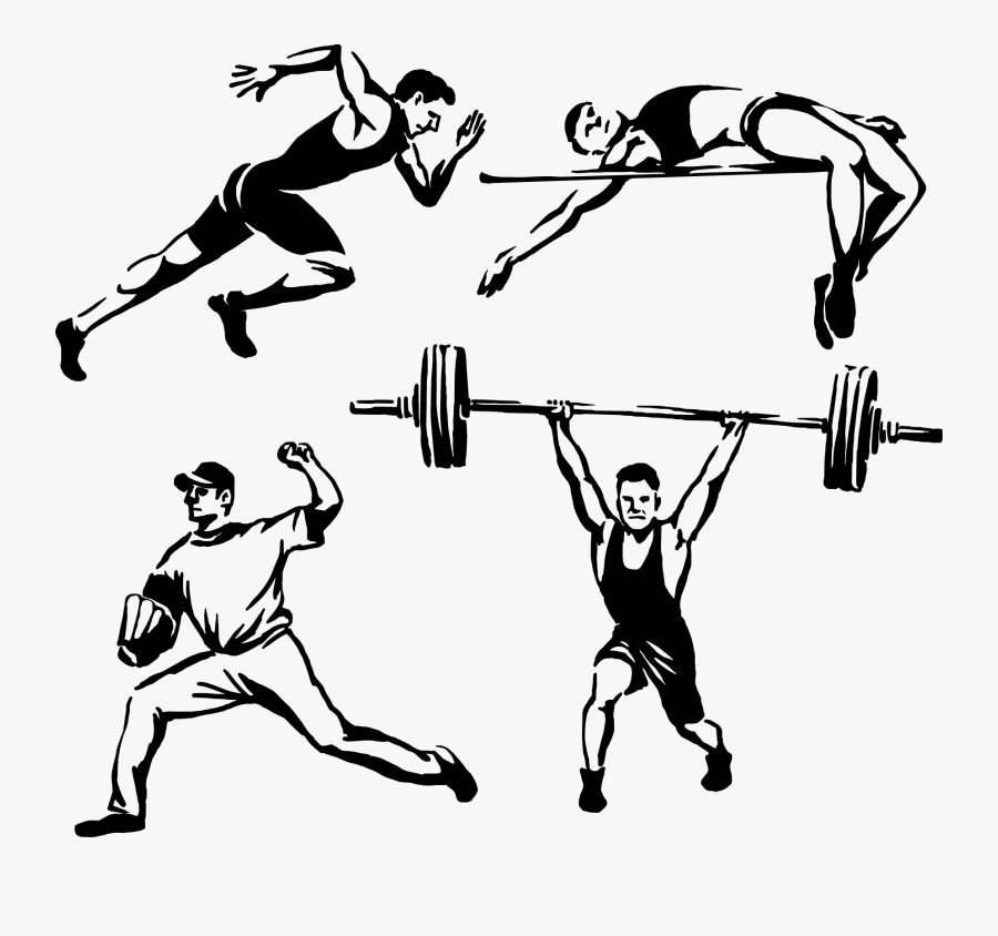 Download Euclidean Vector Olympic Weightlifting - Biceps Curl, Transparent Clipart