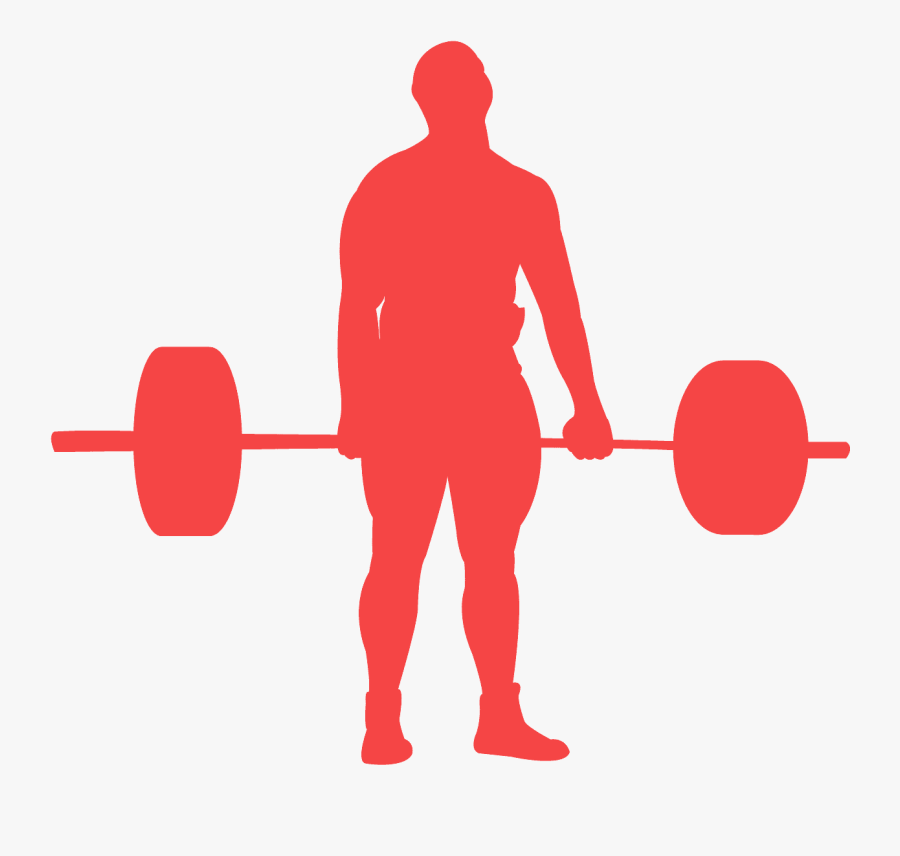 Strength Vs Hypertrophy Mucle Growth, Transparent Clipart