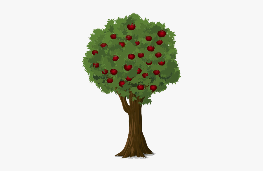 Apple Tree Clip Art Free Transparent Png - Png De Árvores Frutíferas, Transparent Clipart