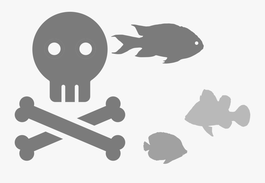 Icon, Transparent Clipart