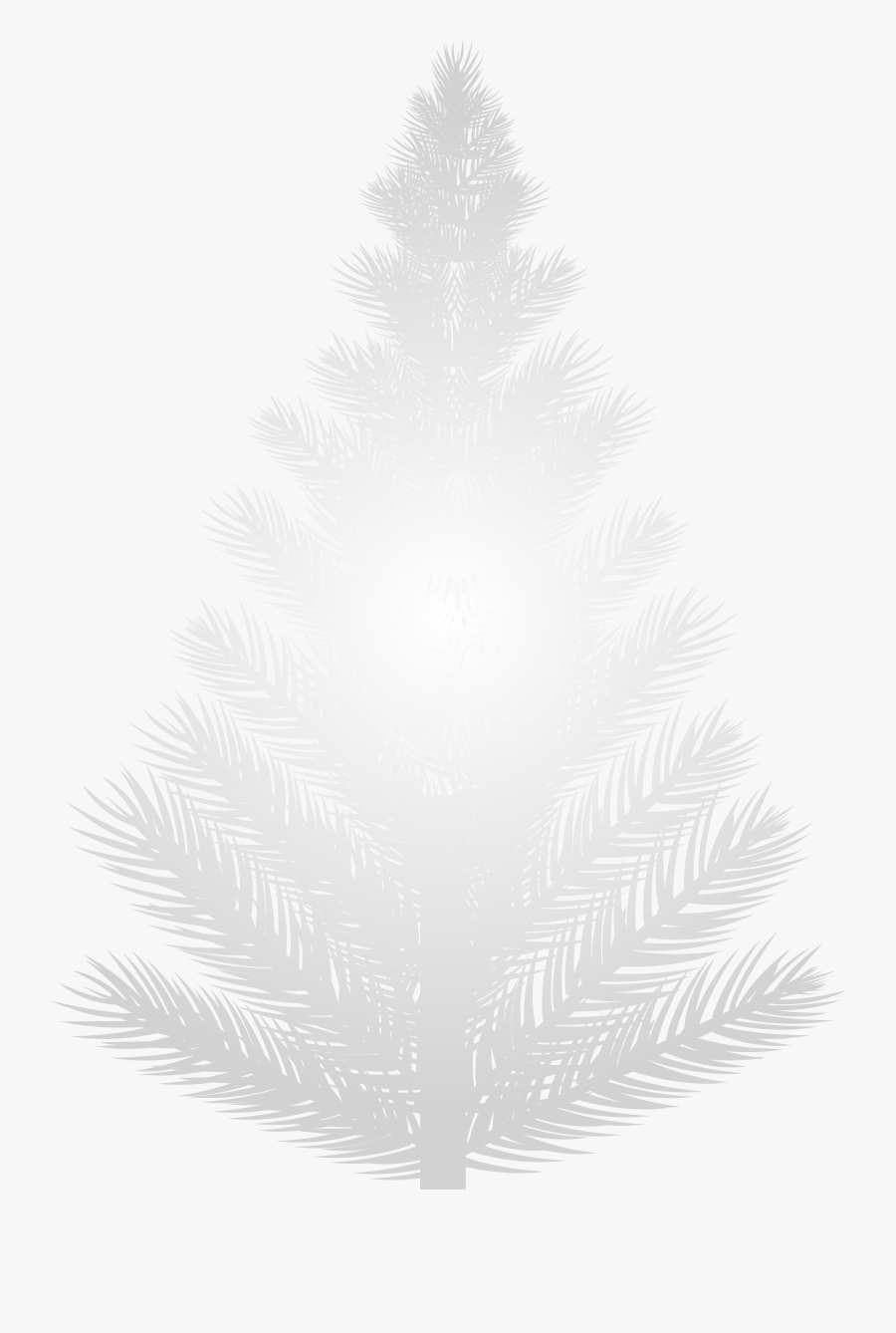 White Pine Tree Png Clip Art Image - Spruce, Transparent Clipart
