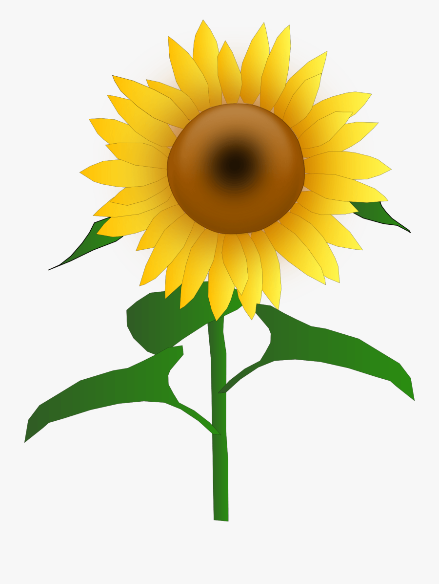 Sun, Flower, Cartoon, Border, Bloom, Plant, Sunflower - Clipart Sunflower, Transparent Clipart