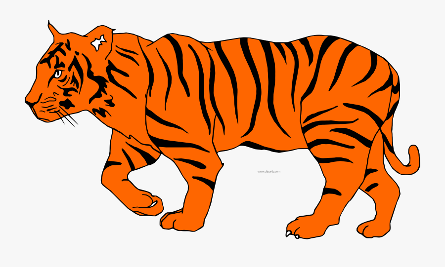 Bengal Tiger Clip Art - Illustration Of A Tiger, Transparent Clipart