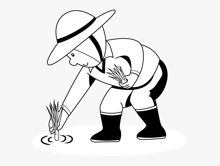 Transparent Farm Clip Art - Planting Of Rice Drawing, Transparent Clipart