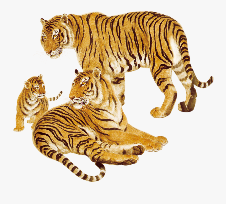 虎 年 年 畫, Transparent Clipart