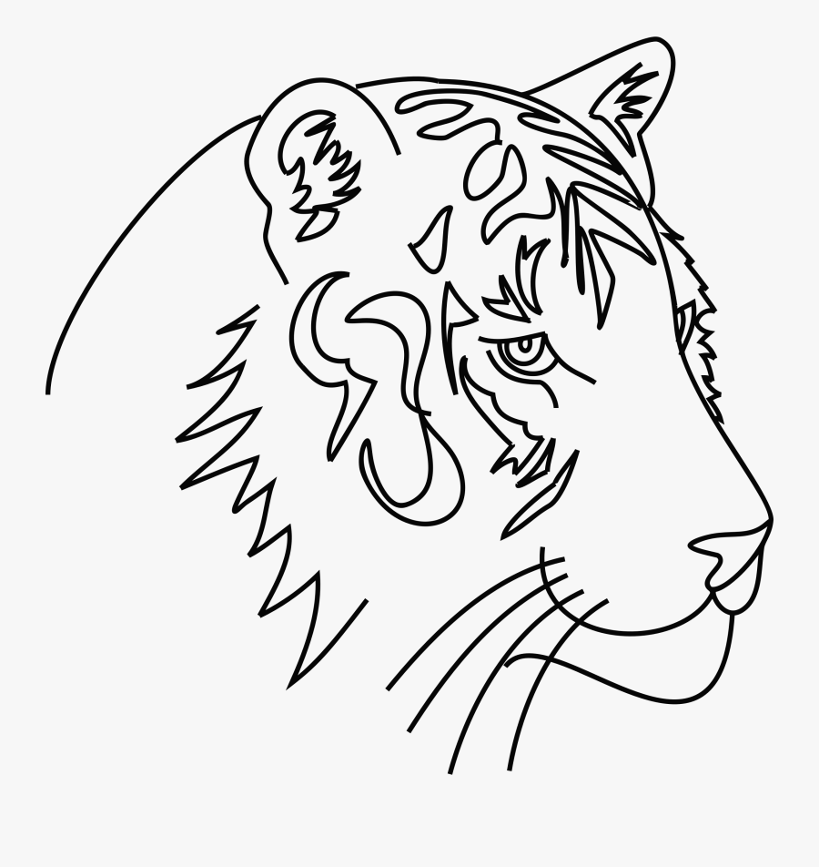 Tiger Line Art Clip Arts - Gambar Ilustrasi Hewan Harimau, Transparent Clipart