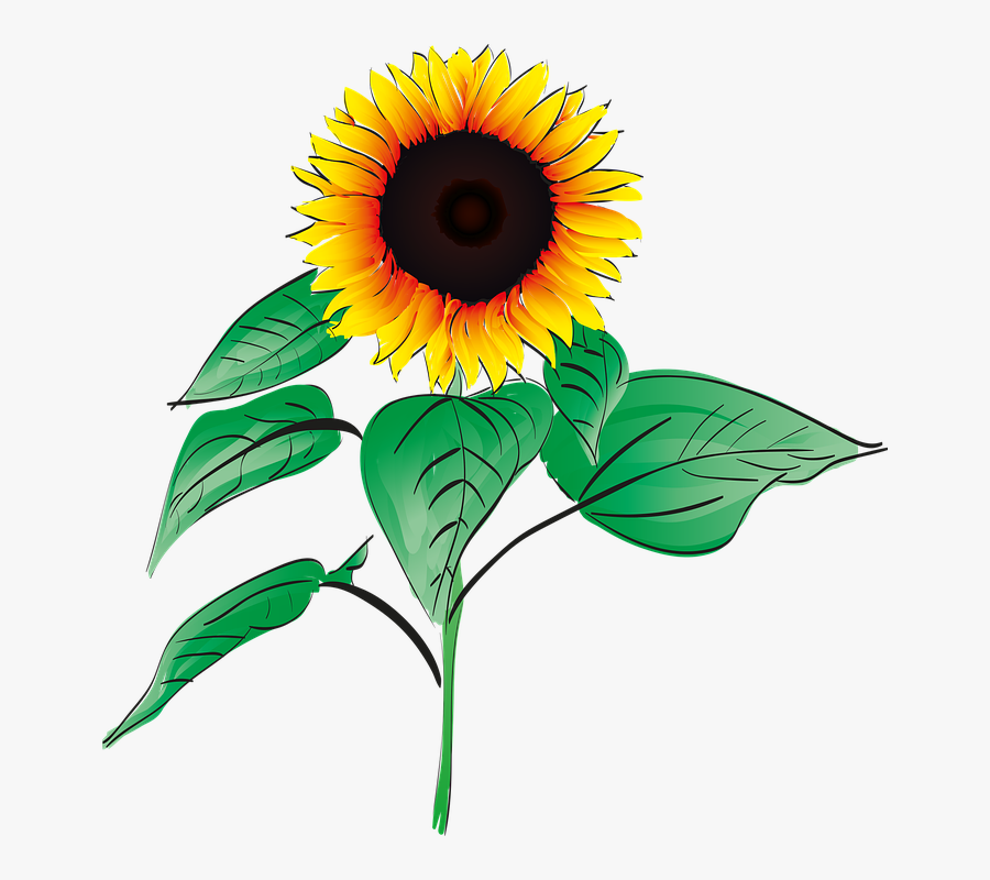 Sunflower Clipart Ijcnlp Cliparts - Sunflower Clipart With Roots, Transparent Clipart