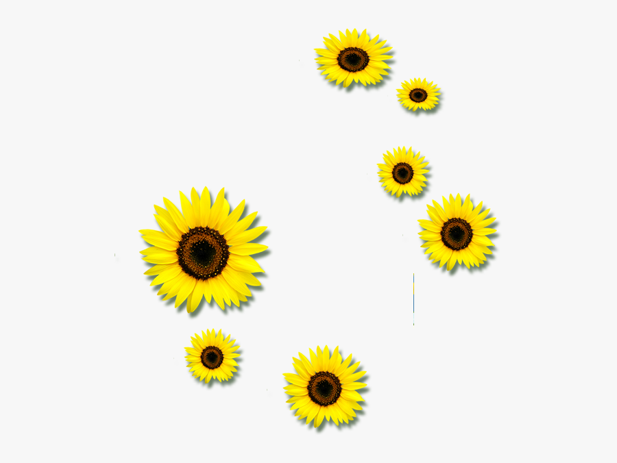 Free Free 329 Sunflower Petals Svg SVG PNG EPS DXF File