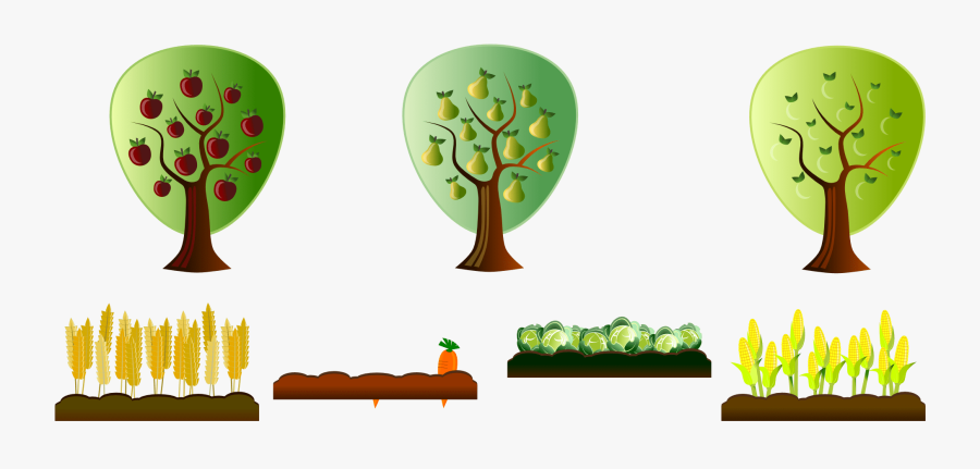 Thumb Image - Farm Crops Clipart, Transparent Clipart