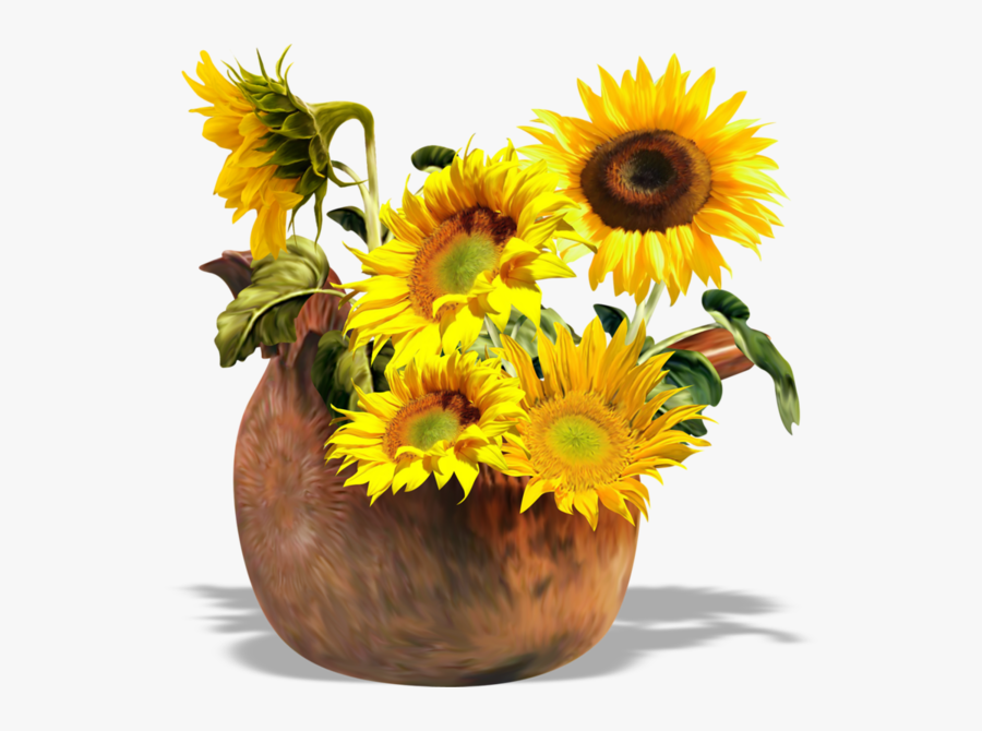 Common Sunflower Sunflowers Clip Art - Прозрачном Фоне Подсолнухи Png, Transparent Clipart