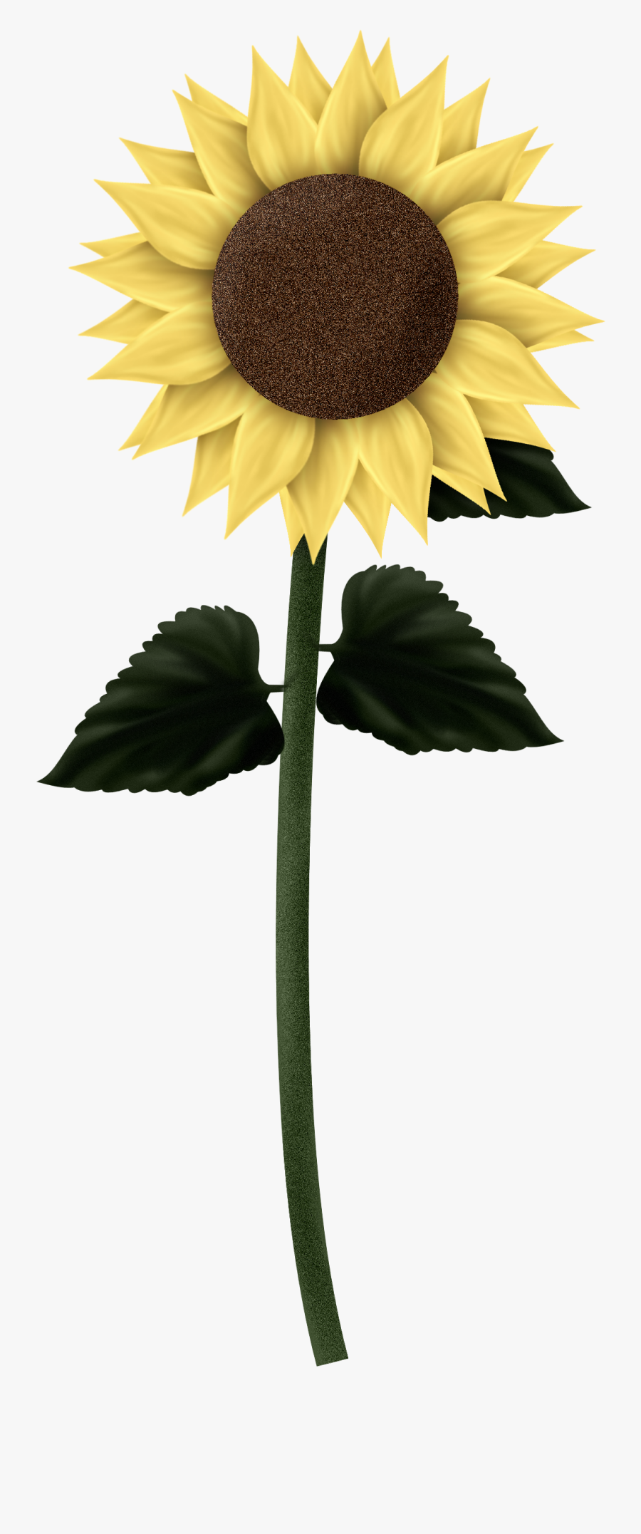 Transparent Sunflower Clipart - Sunflowers Png, Transparent Clipart