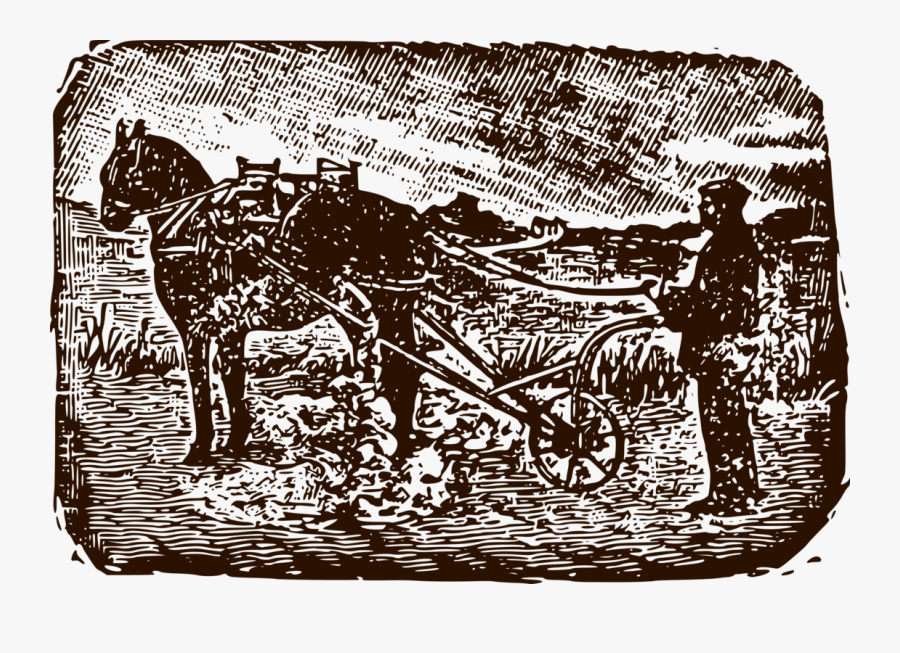 Visual Arts,chariot,art - Clip Art, Transparent Clipart