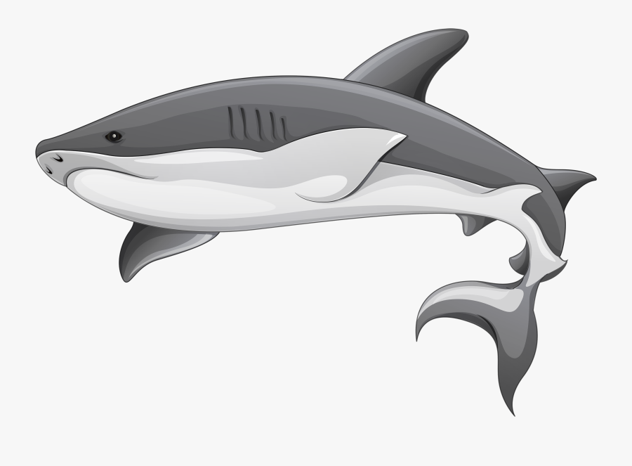 Shark Clipart Great White Shark Cartoon Style - Transparent Background Shark Clipart, Transparent Clipart