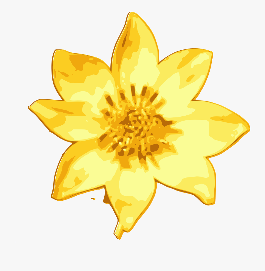 Plant,flora,sunflower - Ethiopian New Year Fllower, Transparent Clipart