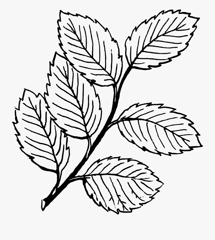 Transparent November Png - Gare Do Oriente, Transparent Clipart