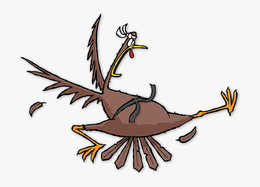 Taekwondo Thanksgiving Turkey, Transparent Clipart
