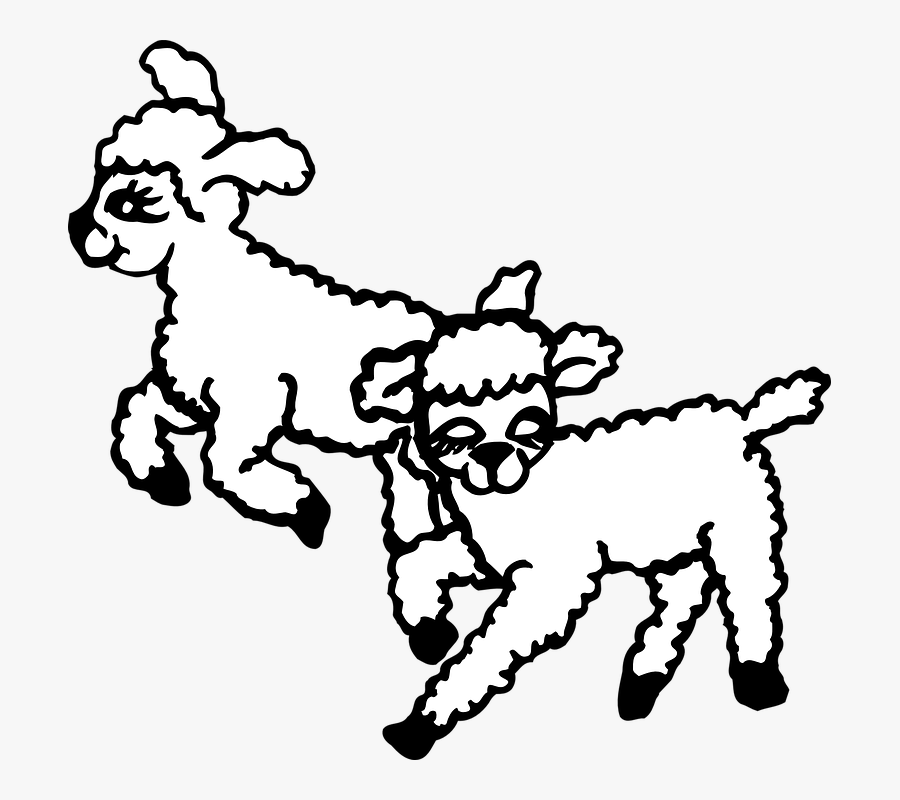 Transparent Lamb Clipart Png - Black And White Clipart Jumping Lambs, Transparent Clipart