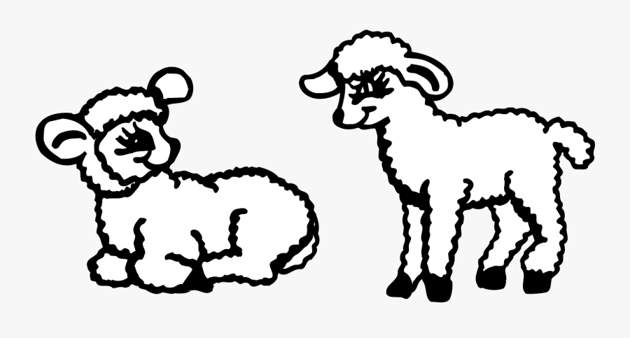Animals Two Sitting Standing Lambs Fluffy - Clipart Black And White Two Lambs, Transparent Clipart
