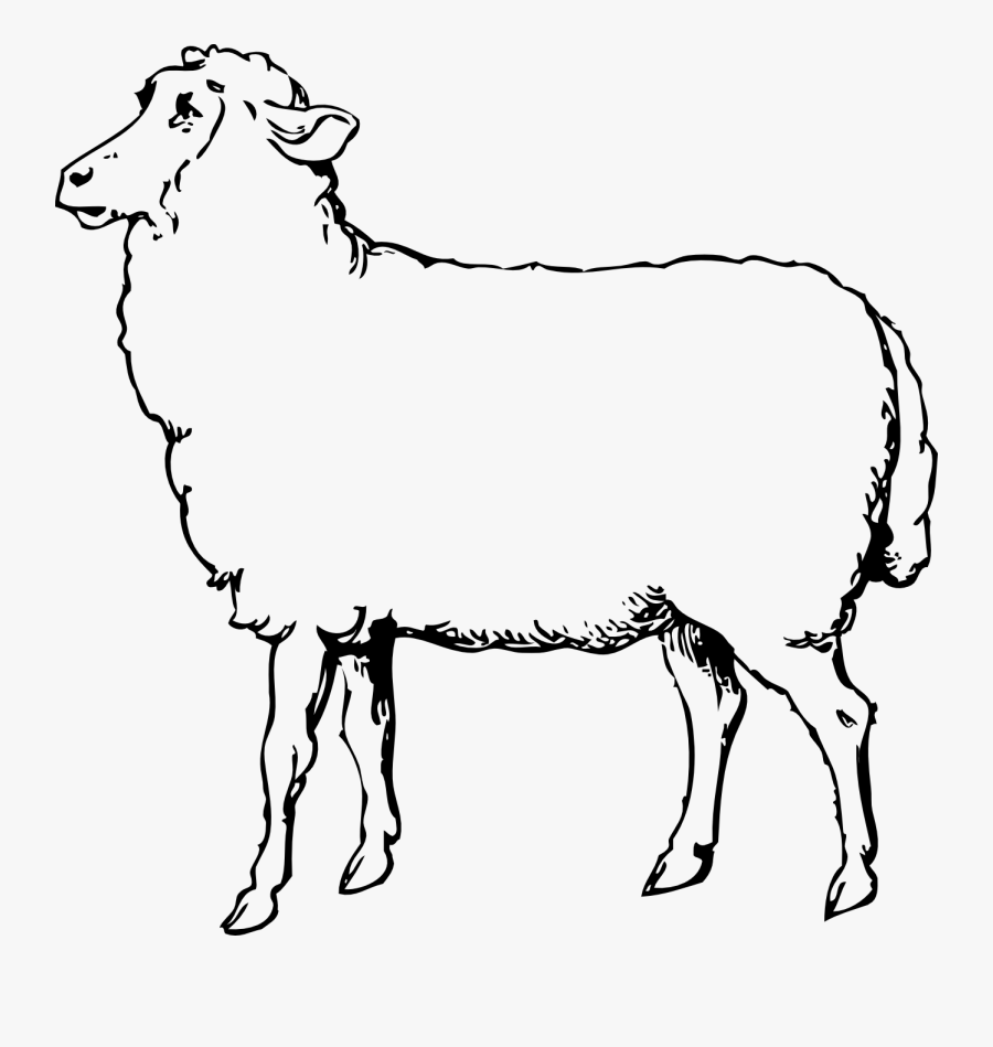 Sheep Black And White, Transparent Clipart