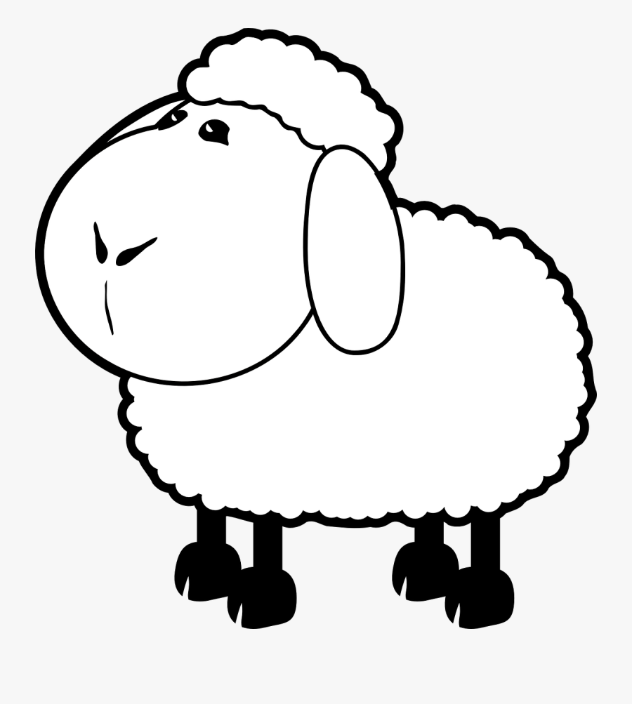 Colouring Pages For Sheep, Transparent Clipart
