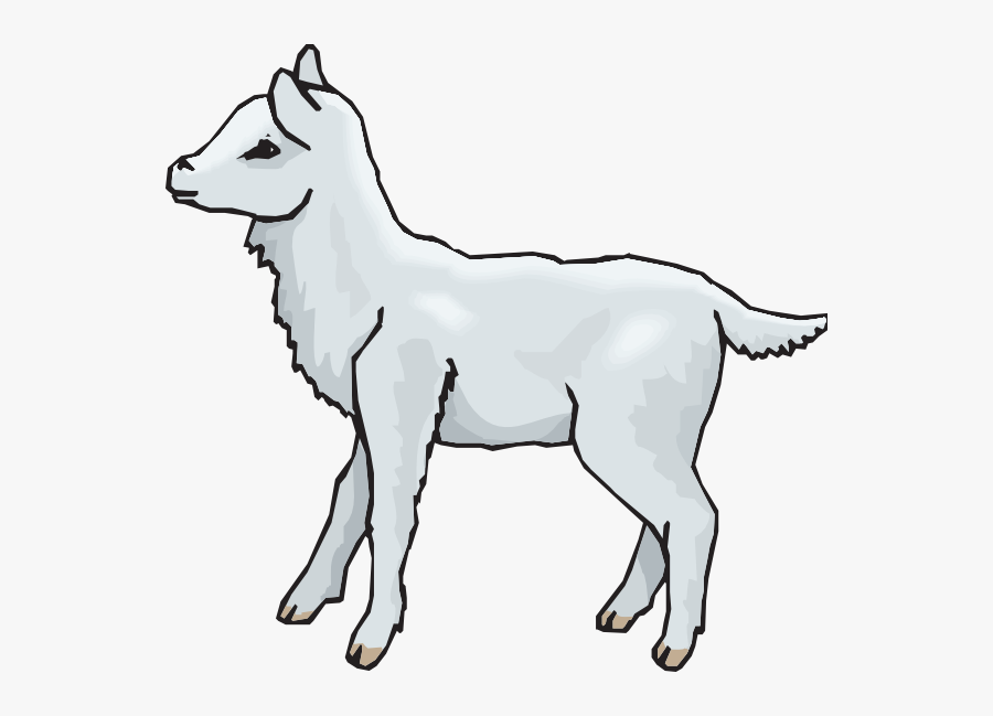 Lamb Clipart Standing - Clipart Lamb, Transparent Clipart