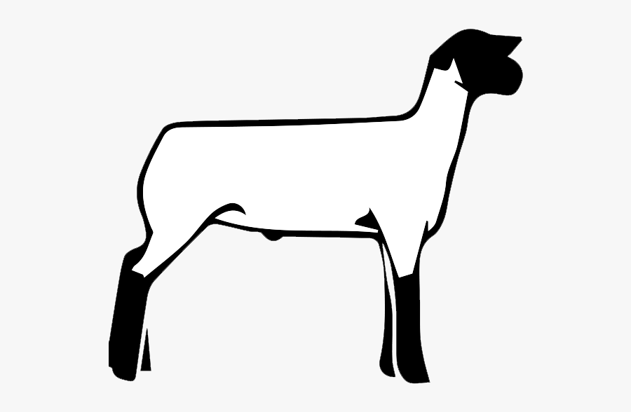 Club Free On Dumielauxepices - Show Lamb Clip Art, Transparent Clipart