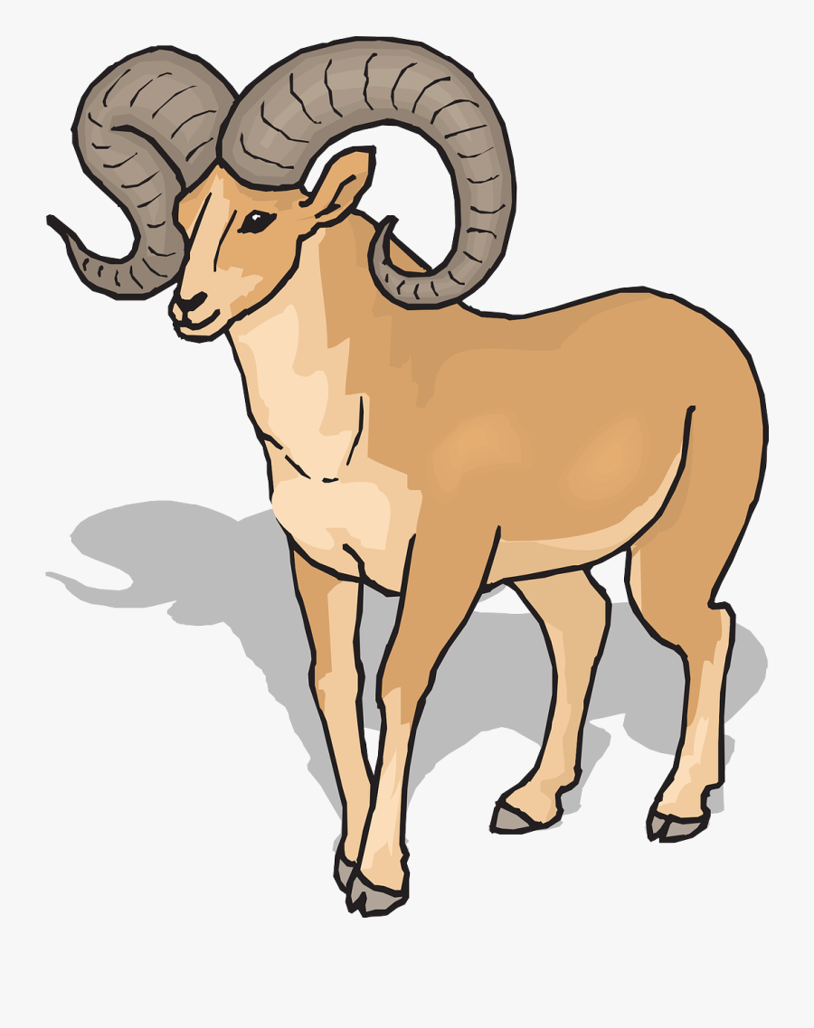 Ram Clipart , Free Transparent Clipart ClipartKey