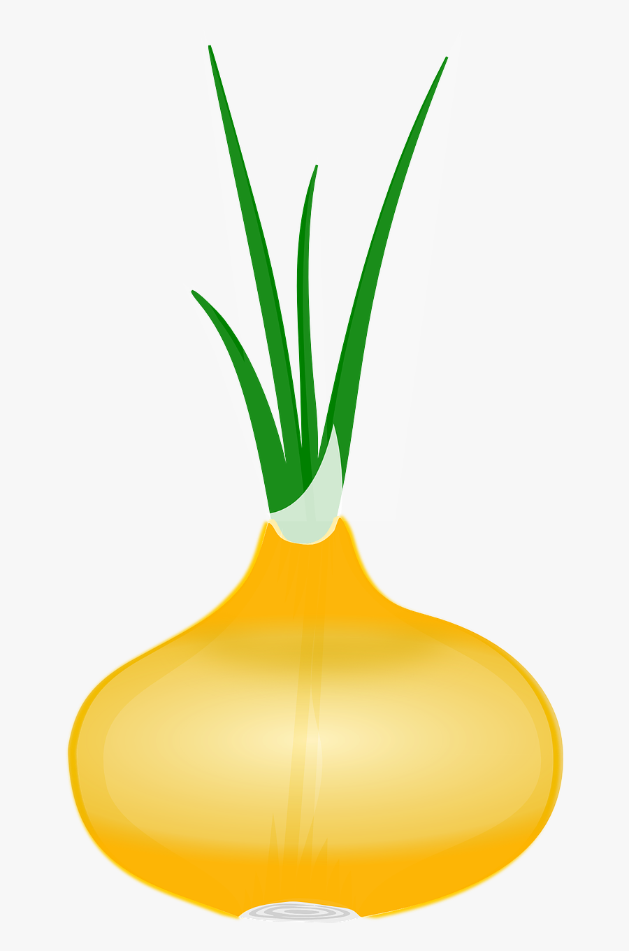 Vegetable Clipart - Onion Clip Art, Transparent Clipart