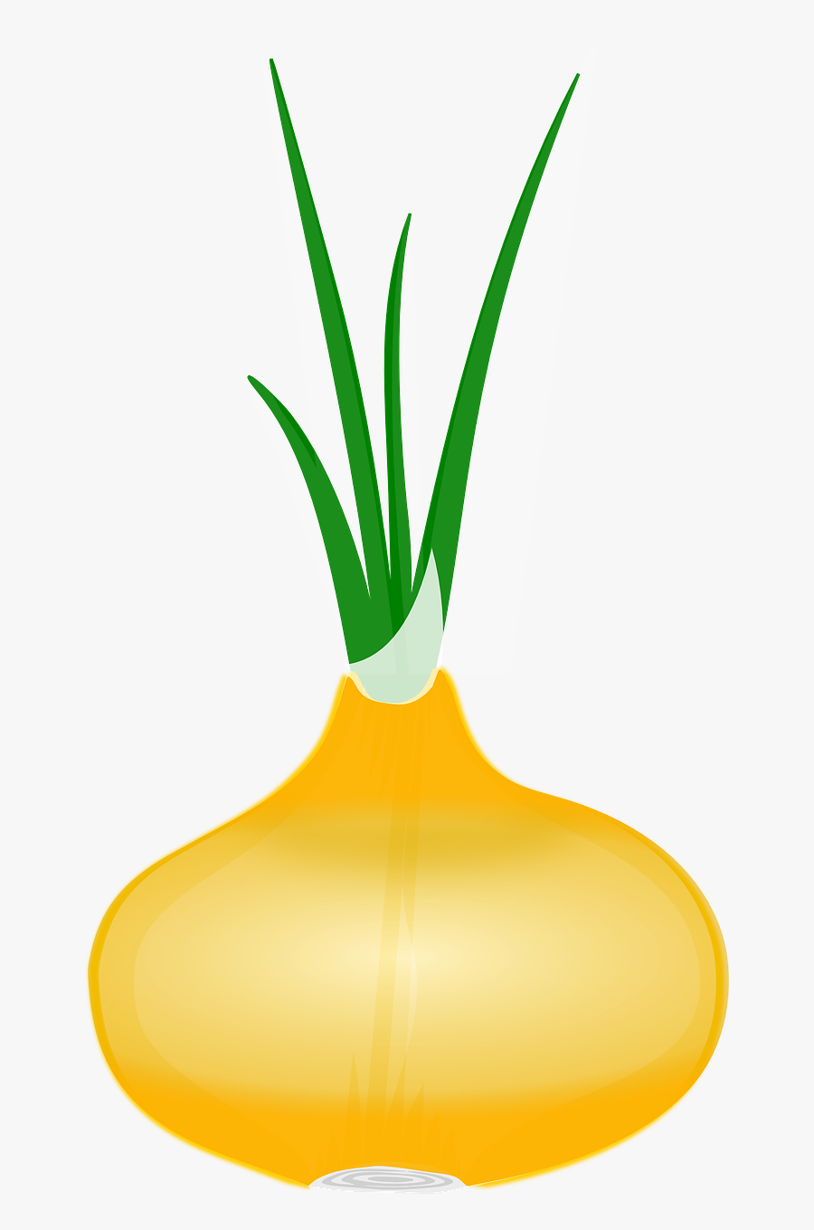 Vegetable Clipart Onion Clip Art , Free Transparent Clipart ClipartKey