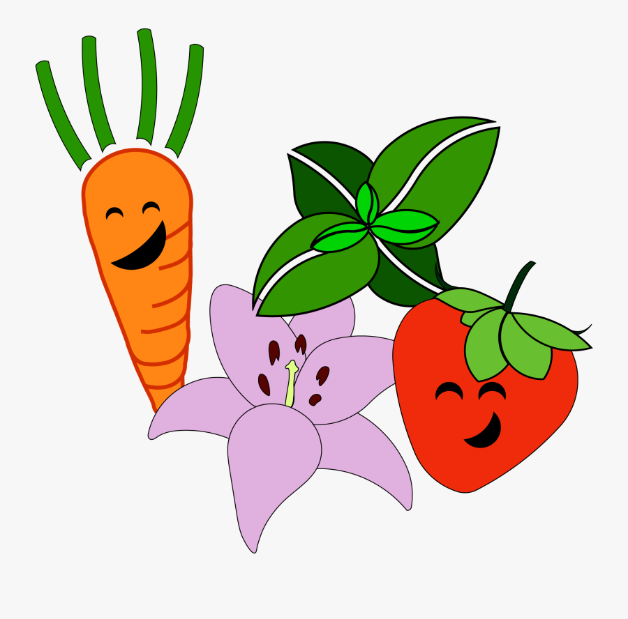 Transparent Vegetable Clipart - Fruits And Vegetables Banner Png, Transparent Clipart