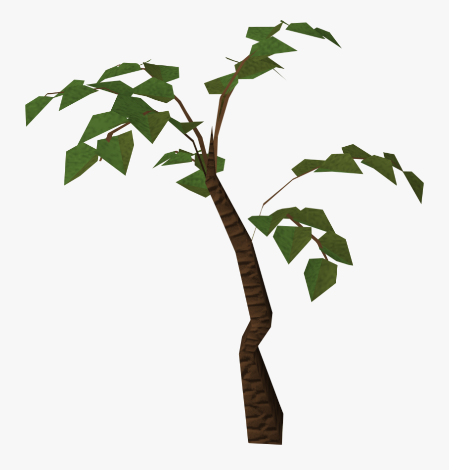 Image - Jungle Tree Png, Transparent Clipart