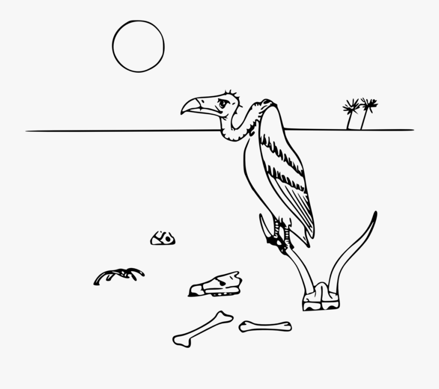 Black And White Desert Animal Clipart, Transparent Clipart