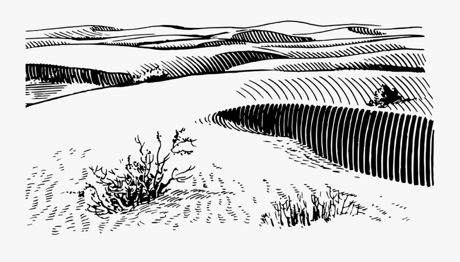 Monochrome Photography,tree,wing - Sand Dune Clip Art, Transparent Clipart