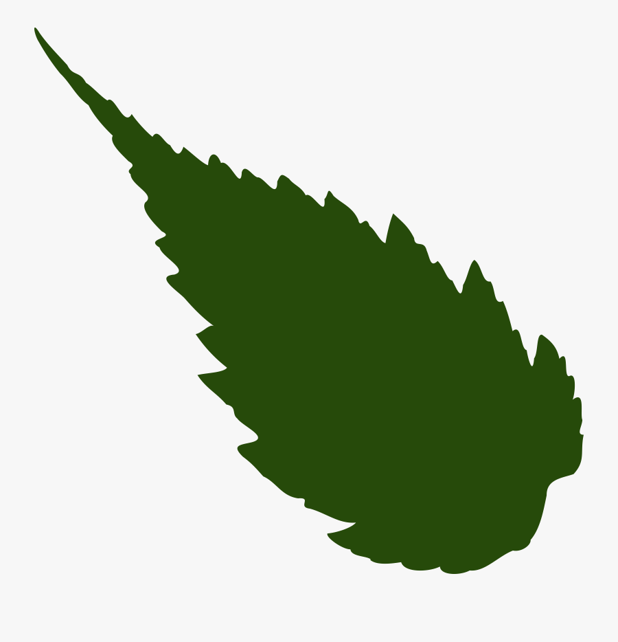 Displaying 11 Image For Jungle Leaves Clip Art - Rose Leaf Png Vector, Transparent Clipart
