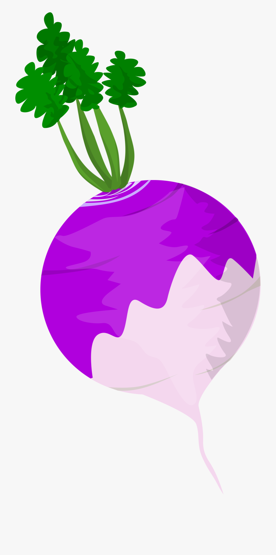 Vegetables Clipart Turnip - Turnip Clipart Png, Transparent Clipart