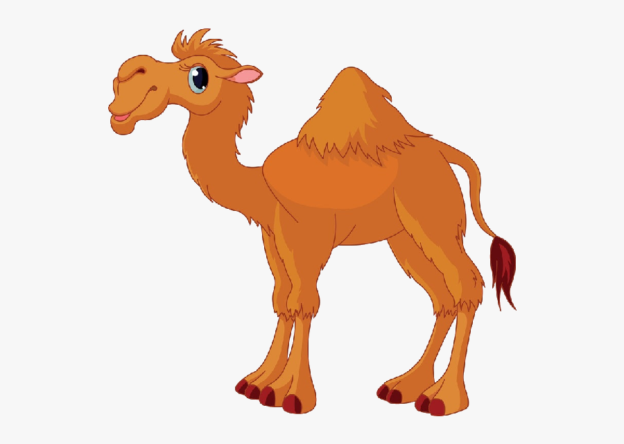 Camel Cartoon Clipart 3 Height - Camel Clipart, Transparent Clipart