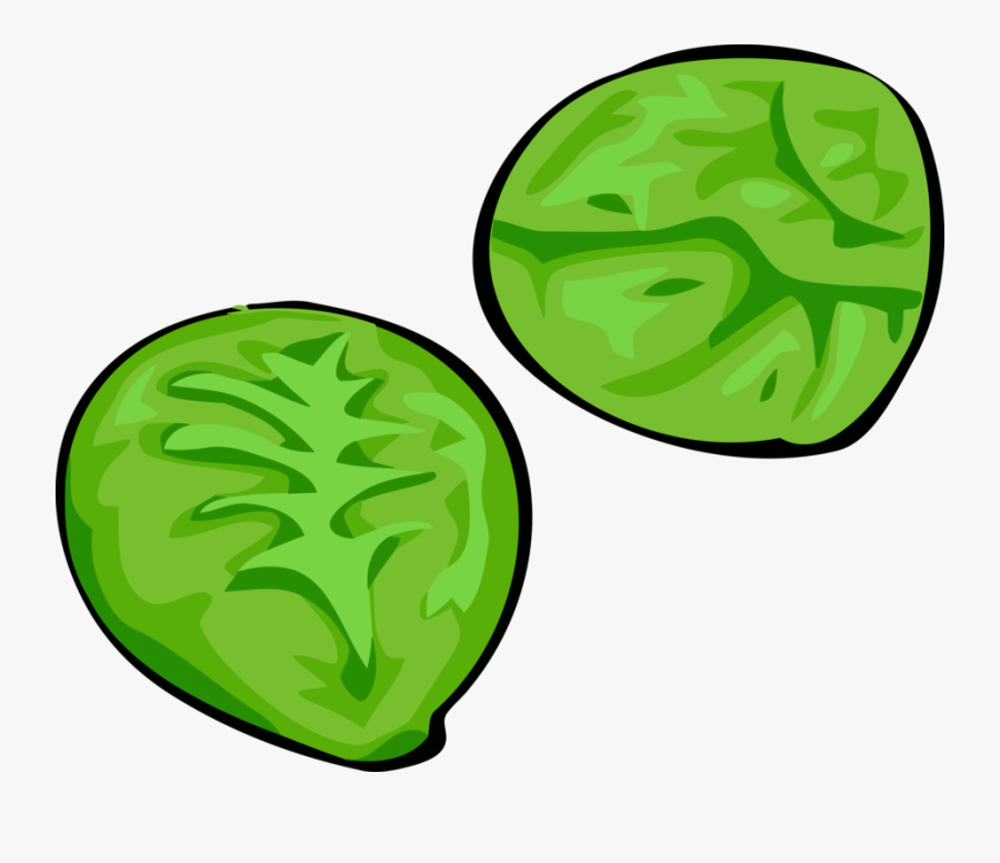 Plant,leaf,cruciferous Vegetables, Transparent Clipart